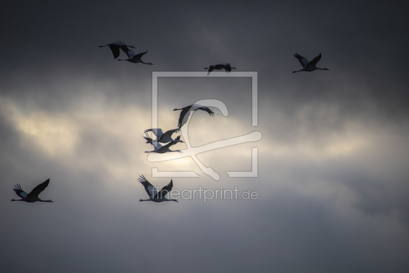 frei wählbarer Bildausschnitt für Ihr Bild auf Türfolie