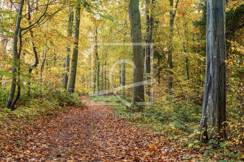 frei wählbarer Bildausschnitt für Ihr Bild auf Türfolie