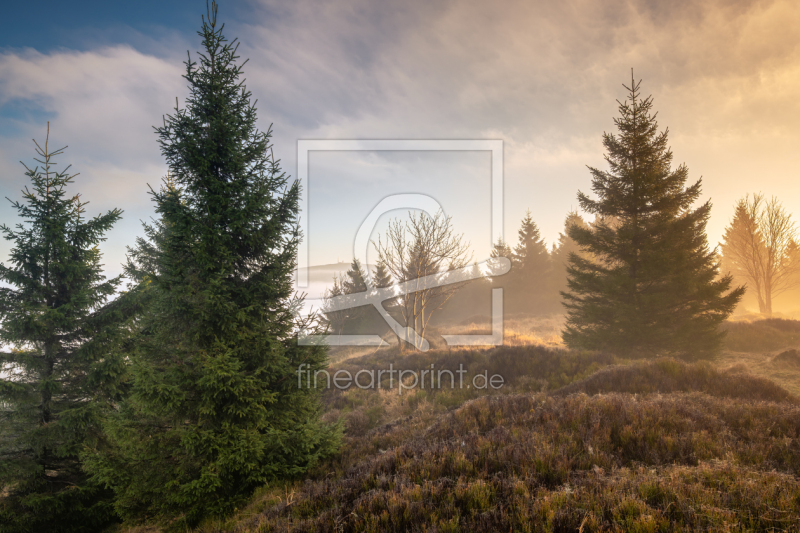 frei wählbarer Bildausschnitt für Ihr Bild auf Türfolie