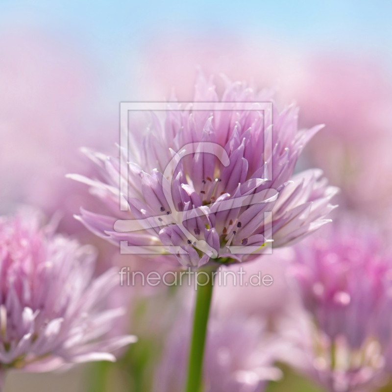 frei wählbarer Bildausschnitt für Ihr Bild auf Türfolie