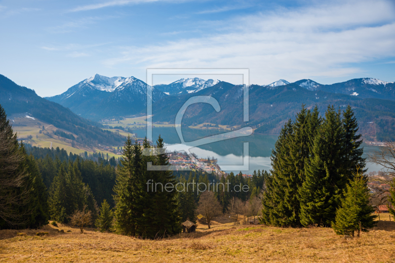 frei wählbarer Bildausschnitt für Ihr Bild auf Türfolie