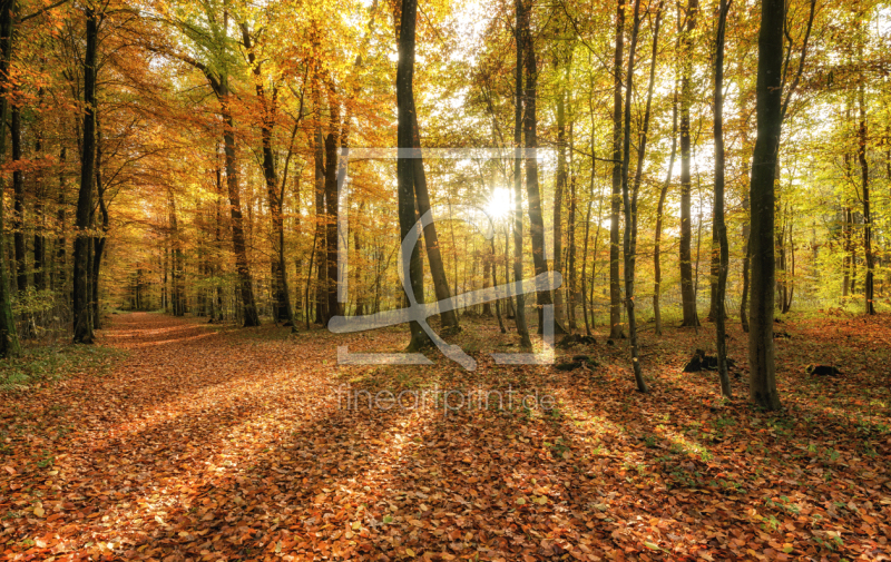 frei wählbarer Bildausschnitt für Ihr Bild auf Türfolie