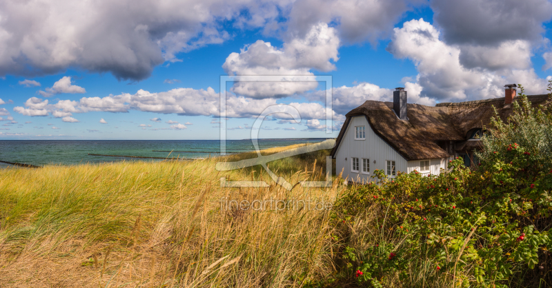 frei wählbarer Bildausschnitt für Ihr Bild auf Türfolie