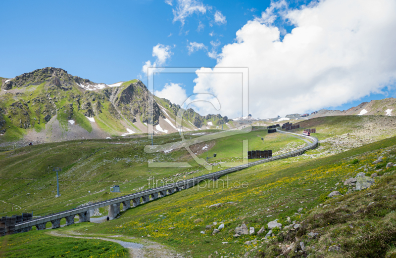 frei wählbarer Bildausschnitt für Ihr Bild auf Türfolie