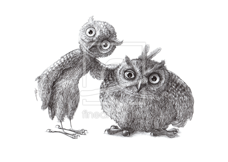 frei wählbarer Bildausschnitt für Ihr Bild auf Türfolie