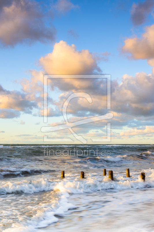 frei wählbarer Bildausschnitt für Ihr Bild auf Türfolie