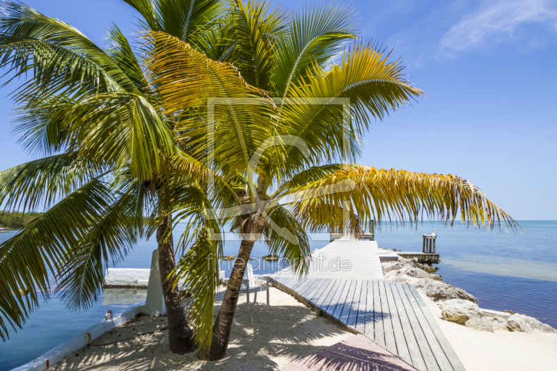 frei wählbarer Bildausschnitt für Ihr Bild auf Türfolie