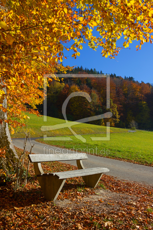 frei wählbarer Bildausschnitt für Ihr Bild auf Türfolie