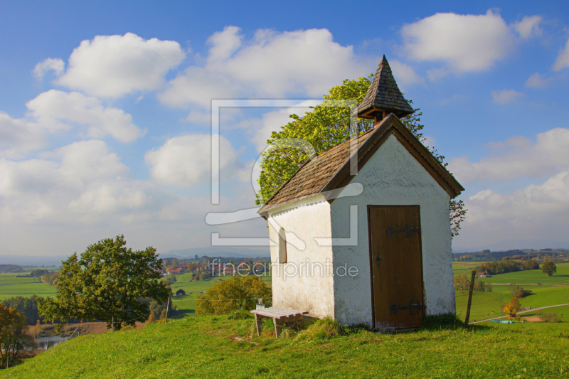 frei wählbarer Bildausschnitt für Ihr Bild auf Türfolie