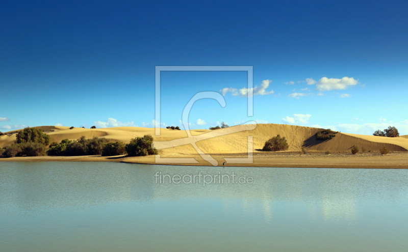 frei wählbarer Bildausschnitt für Ihr Bild auf Türfolie