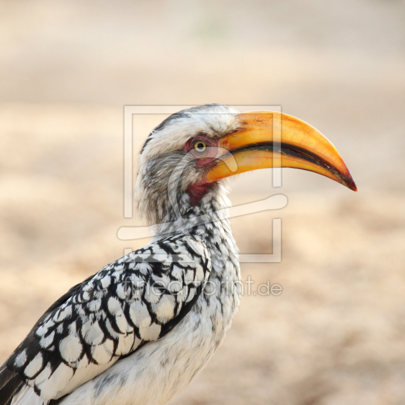 frei wählbarer Bildausschnitt für Ihr Bild auf Türfolie