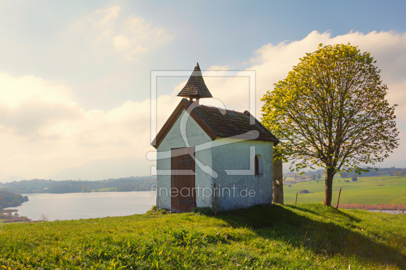 frei wählbarer Bildausschnitt für Ihr Bild auf Türfolie