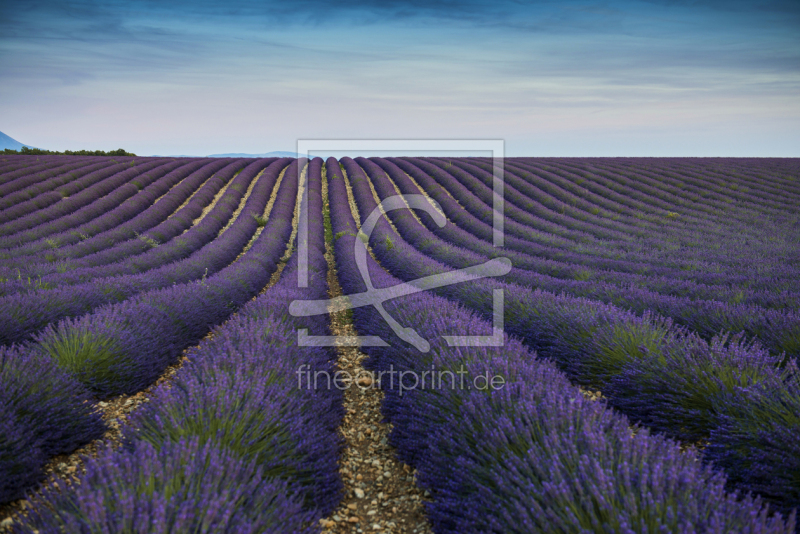 frei wählbarer Bildausschnitt für Ihr Bild auf Türfolie