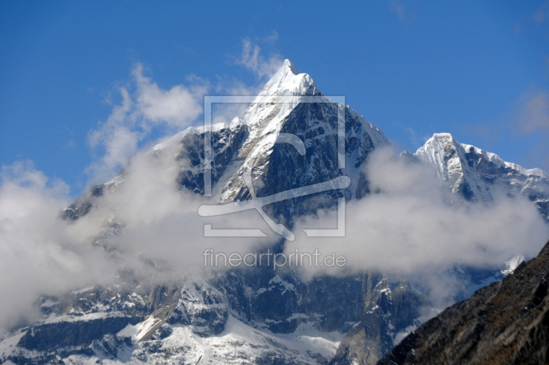 frei wählbarer Bildausschnitt für Ihr Bild auf Türfolie