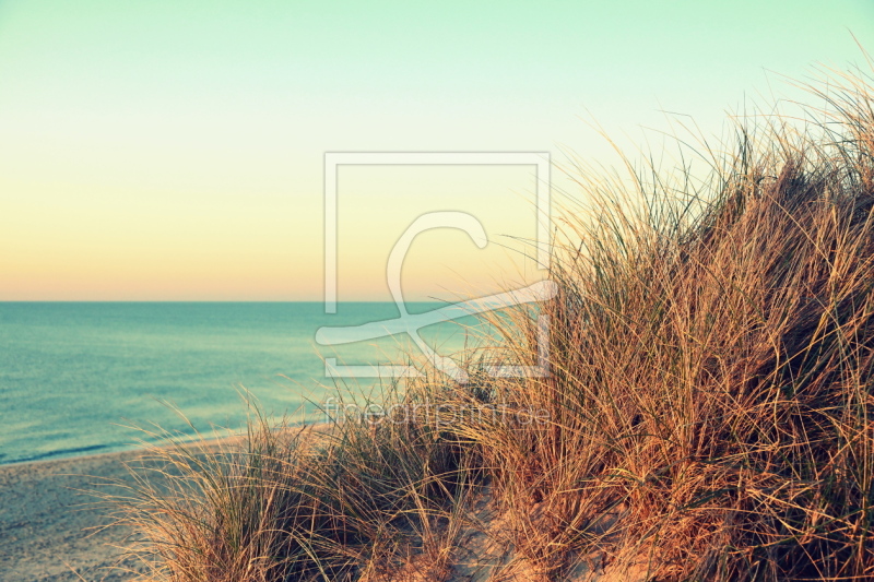 frei wählbarer Bildausschnitt für Ihr Bild auf Türfolie