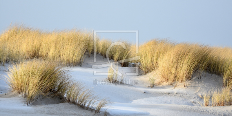 frei wählbarer Bildausschnitt für Ihr Bild auf Türfolie