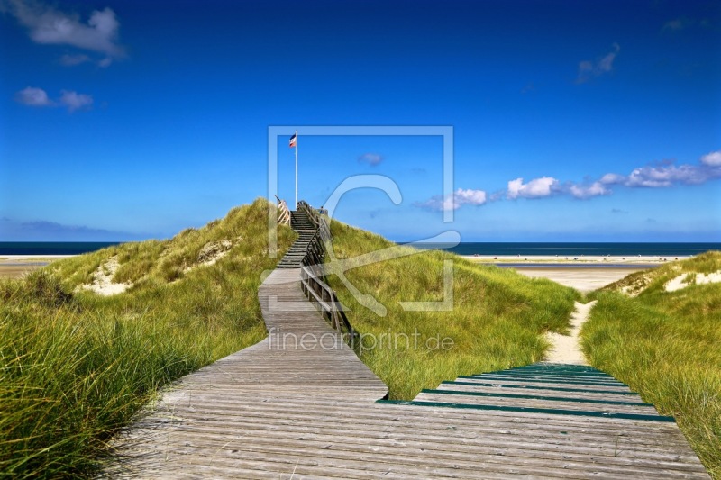 frei wählbarer Bildausschnitt für Ihr Bild auf Türfolie