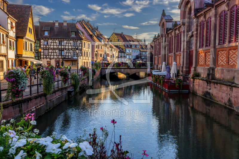 frei wählbarer Bildausschnitt für Ihr Bild auf Türfolie