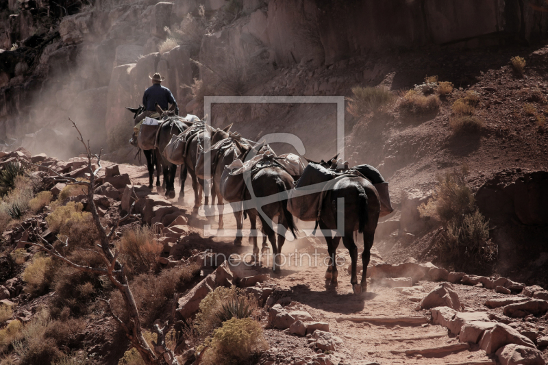 frei wählbarer Bildausschnitt für Ihr Bild auf Türfolie