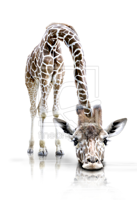 frei w&auml;hlbarer Bildausschnitt f&uuml;r Ihr Bild auf Untersetzer