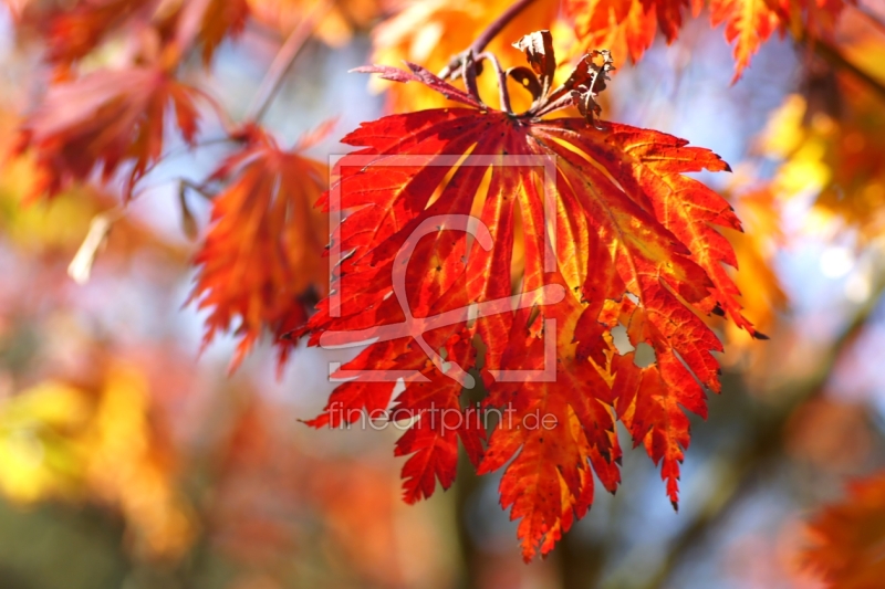 frei w&auml;hlbarer Bildausschnitt f&uuml;r Ihr Bild auf Untersetzer