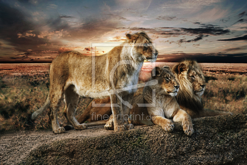 frei w&auml;hlbarer Bildausschnitt f&uuml;r Ihr Bild auf Untersetzer