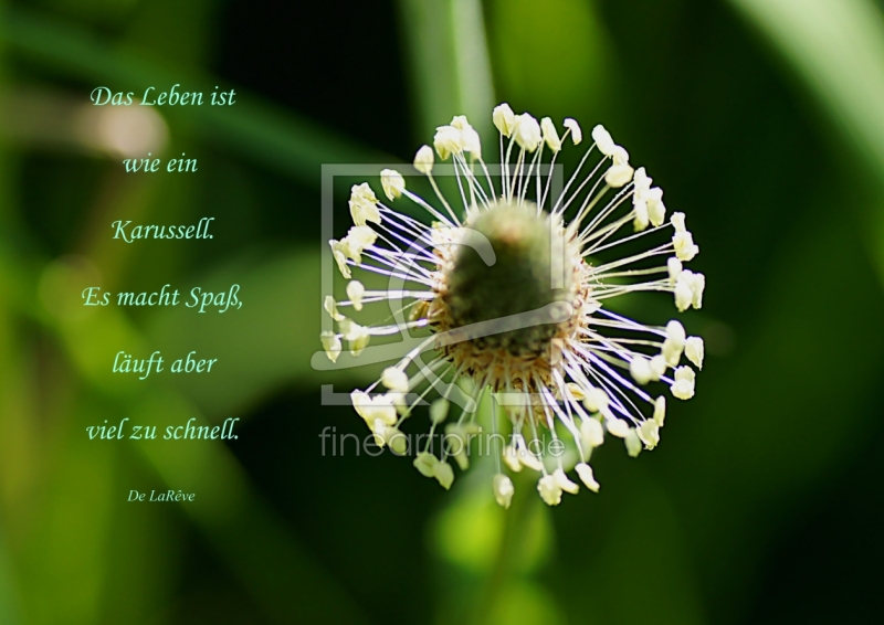 frei w&auml;hlbarer Bildausschnitt f&uuml;r Ihr Bild auf Untersetzer