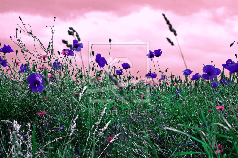 frei w&auml;hlbarer Bildausschnitt f&uuml;r Ihr Bild auf Untersetzer