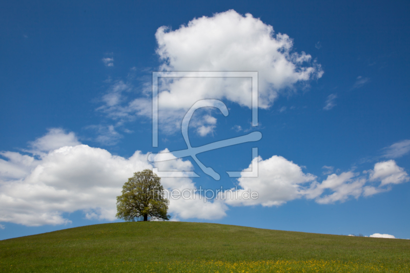 frei w&auml;hlbarer Bildausschnitt f&uuml;r Ihr Bild auf Untersetzer