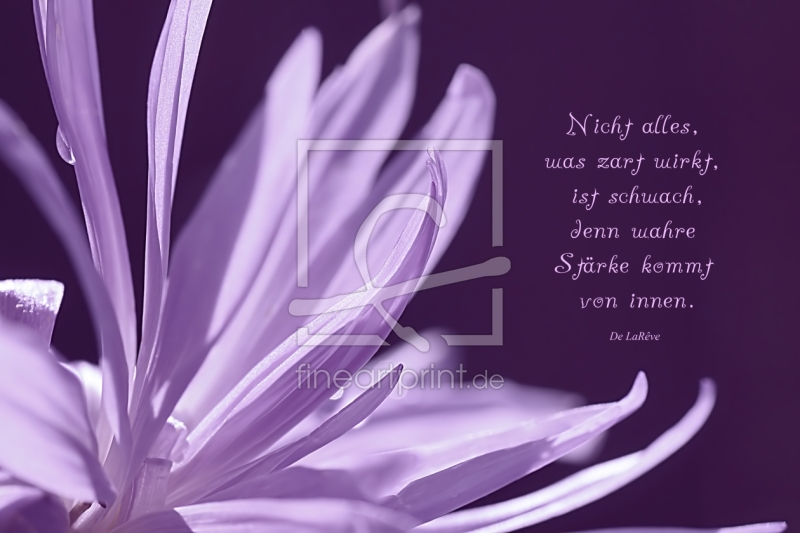 frei w&auml;hlbarer Bildausschnitt f&uuml;r Ihr Bild auf Untersetzer