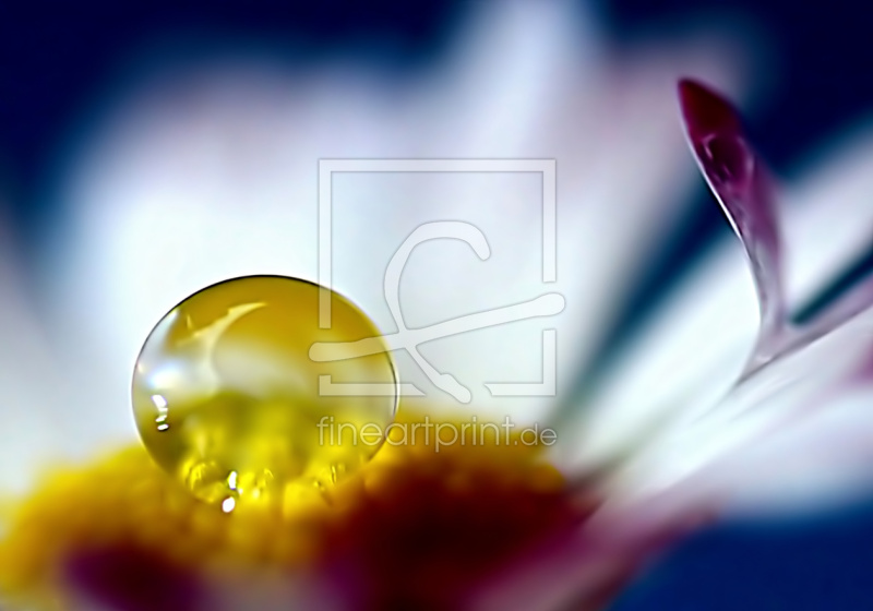 frei w&auml;hlbarer Bildausschnitt f&uuml;r Ihr Bild auf Untersetzer