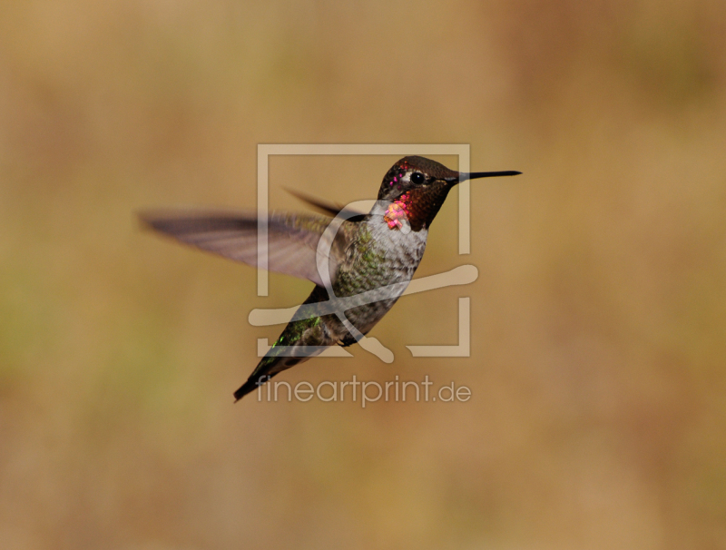 frei w&auml;hlbarer Bildausschnitt f&uuml;r Ihr Bild auf Untersetzer