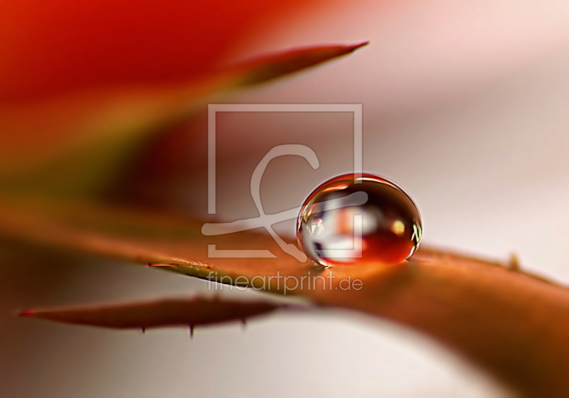 frei w&auml;hlbarer Bildausschnitt f&uuml;r Ihr Bild auf Untersetzer