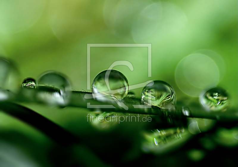 frei w&auml;hlbarer Bildausschnitt f&uuml;r Ihr Bild auf Untersetzer