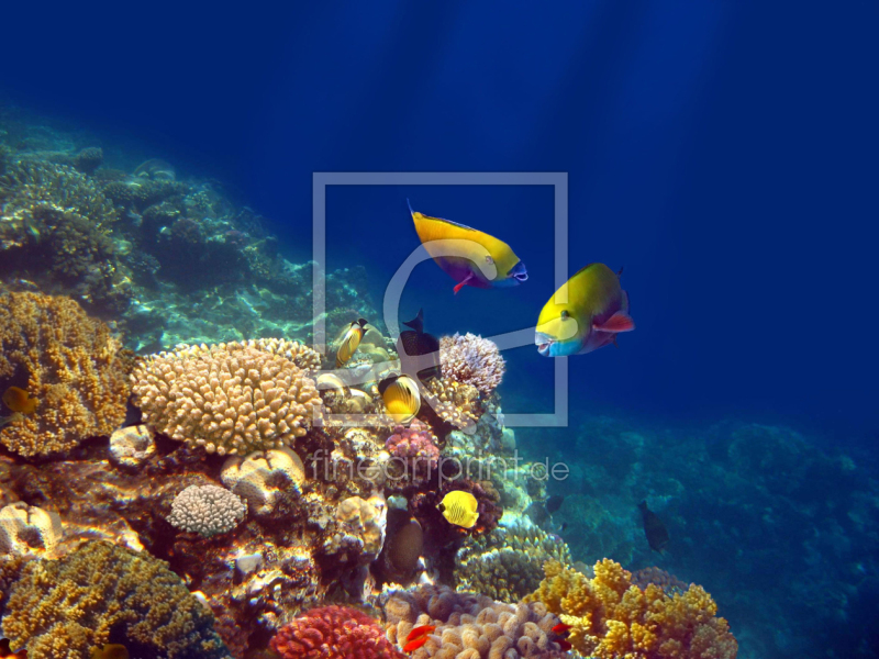 frei w&auml;hlbarer Bildausschnitt f&uuml;r Ihr Bild auf Untersetzer