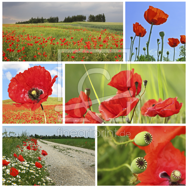 frei w&auml;hlbarer Bildausschnitt f&uuml;r Ihr Bild auf Untersetzer