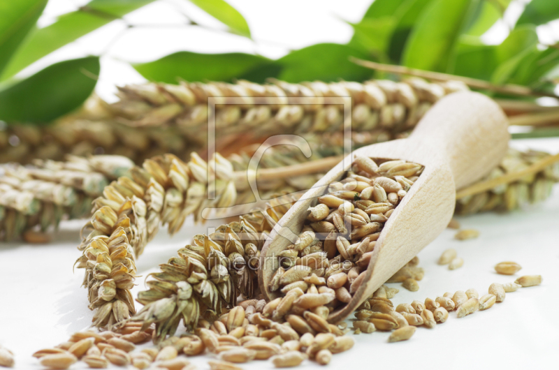 frei w&auml;hlbarer Bildausschnitt f&uuml;r Ihr Bild auf Untersetzer