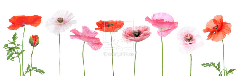 frei w&auml;hlbarer Bildausschnitt f&uuml;r Ihr Bild auf Untersetzer