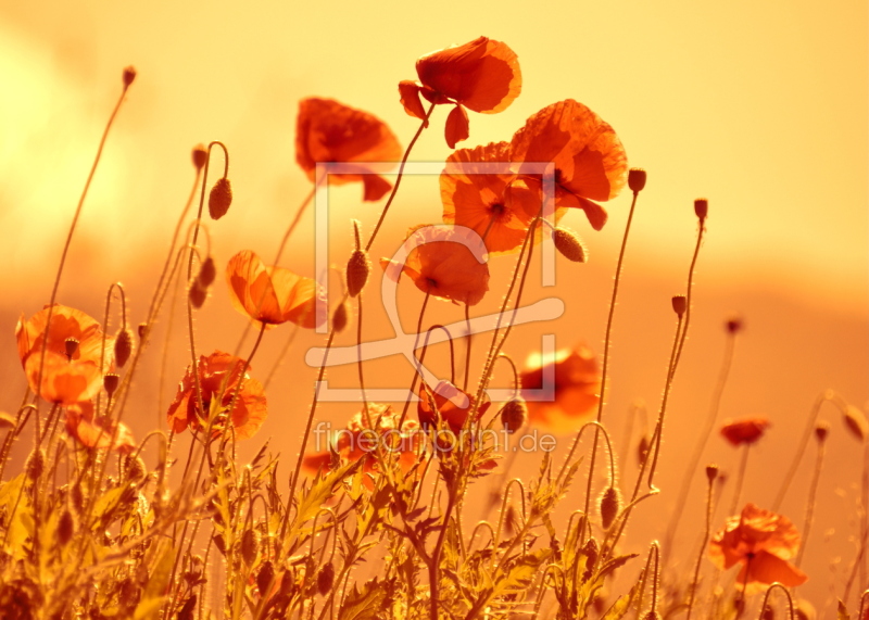 frei w&auml;hlbarer Bildausschnitt f&uuml;r Ihr Bild auf Untersetzer