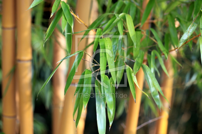 frei w&auml;hlbarer Bildausschnitt f&uuml;r Ihr Bild auf Untersetzer
