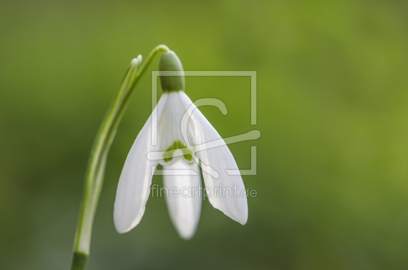 frei w&auml;hlbarer Bildausschnitt f&uuml;r Ihr Bild auf Untersetzer