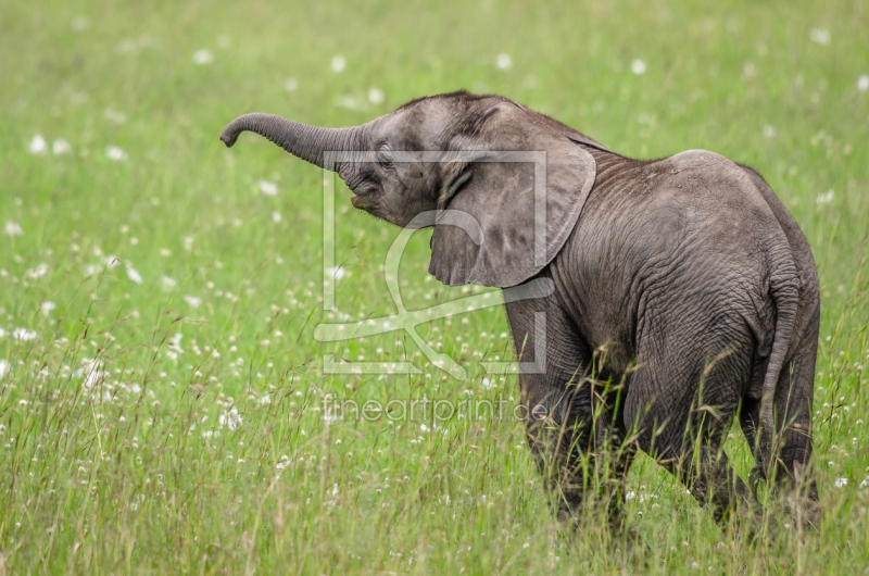 frei w&auml;hlbarer Bildausschnitt f&uuml;r Ihr Bild auf Untersetzer