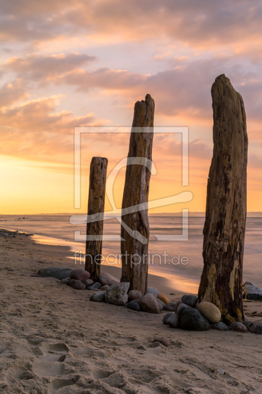 frei w&auml;hlbarer Bildausschnitt f&uuml;r Ihr Bild auf Untersetzer
