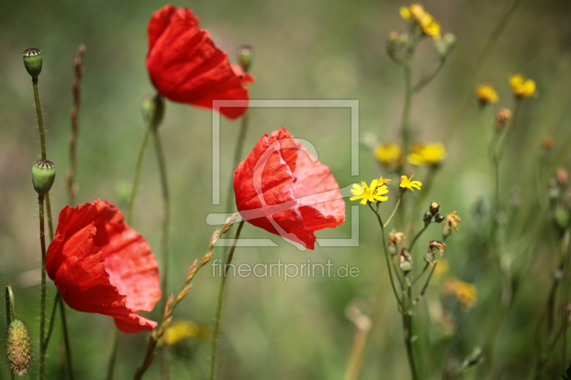 frei w&auml;hlbarer Bildausschnitt f&uuml;r Ihr Bild auf Untersetzer