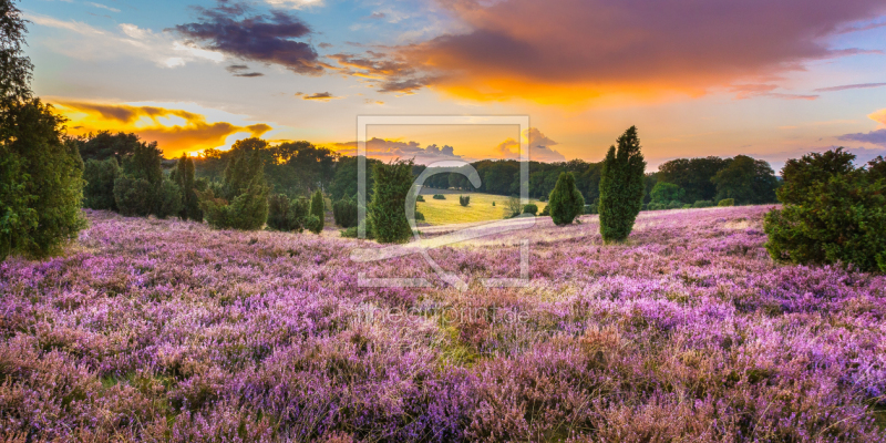 frei w&auml;hlbarer Bildausschnitt f&uuml;r Ihr Bild auf Untersetzer