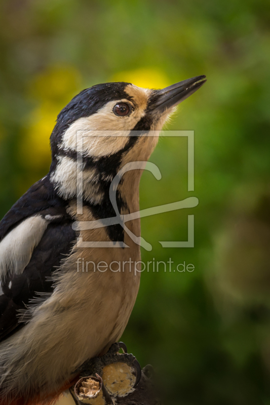 frei w&auml;hlbarer Bildausschnitt f&uuml;r Ihr Bild auf Untersetzer