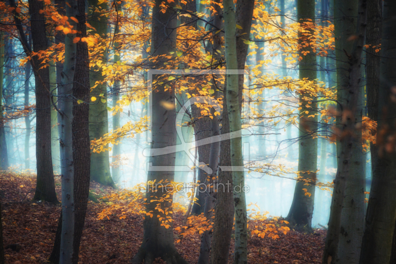 frei w&auml;hlbarer Bildausschnitt f&uuml;r Ihr Bild auf Untersetzer