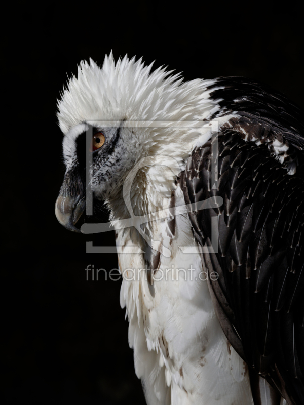 frei w&auml;hlbarer Bildausschnitt f&uuml;r Ihr Bild auf Untersetzer