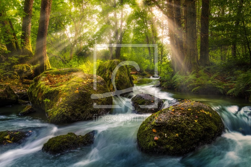 frei w&auml;hlbarer Bildausschnitt f&uuml;r Ihr Bild auf Untersetzer