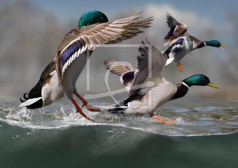 frei w&auml;hlbarer Bildausschnitt f&uuml;r Ihr Bild auf Untersetzer